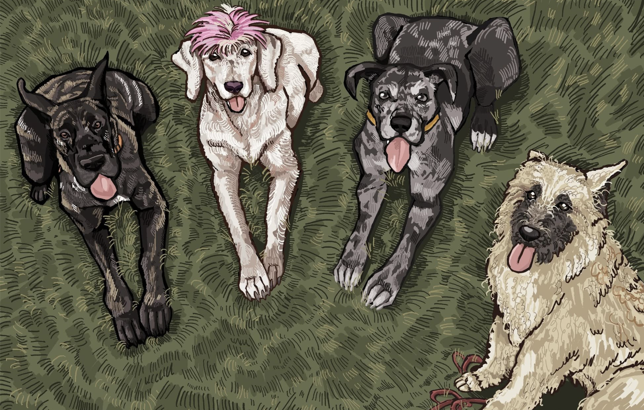 Four happy dogs illustration showcasing the complete artwork layout